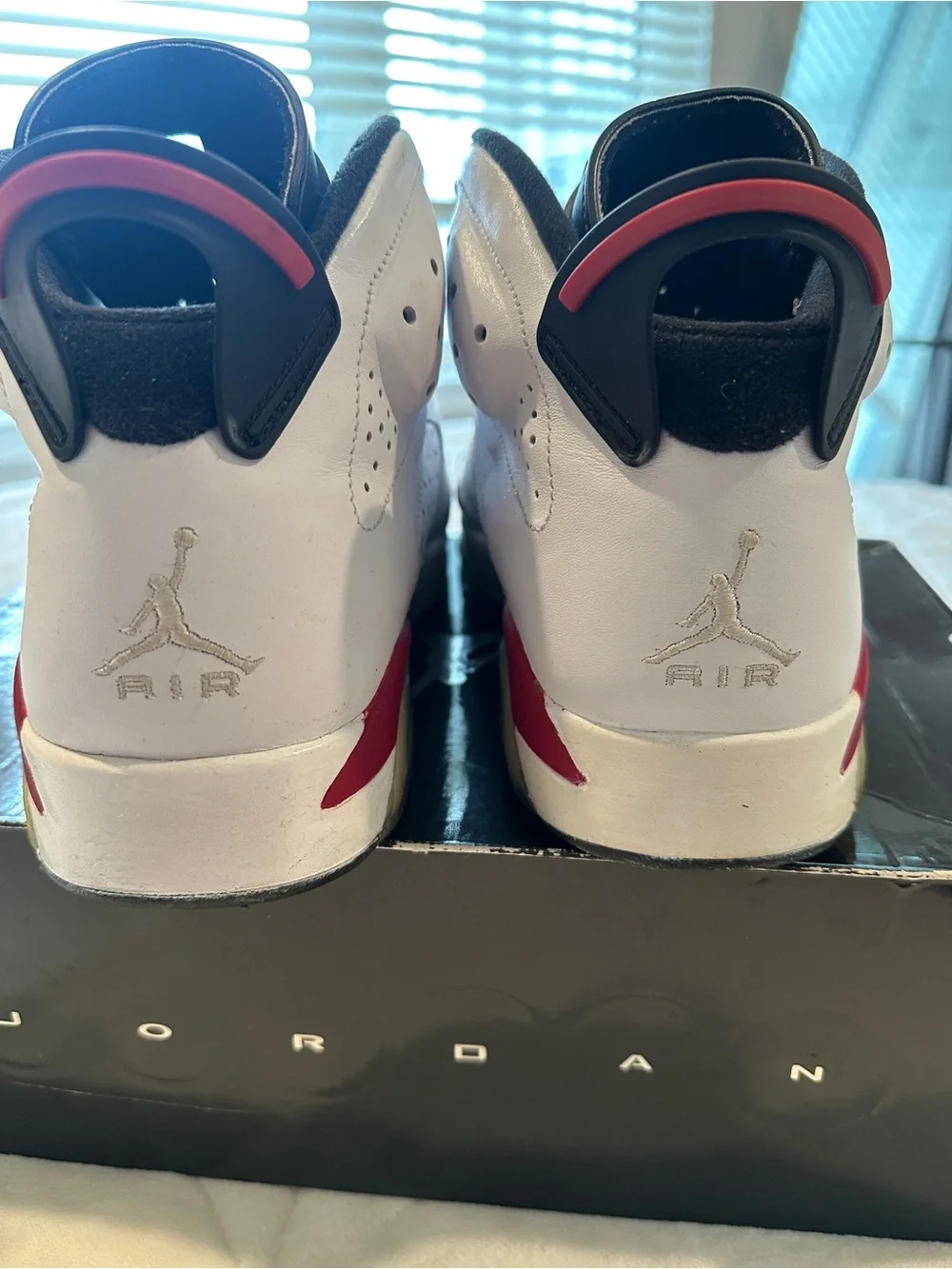2010 Jordan Air Jordan 6 Retro in White, Red and Black